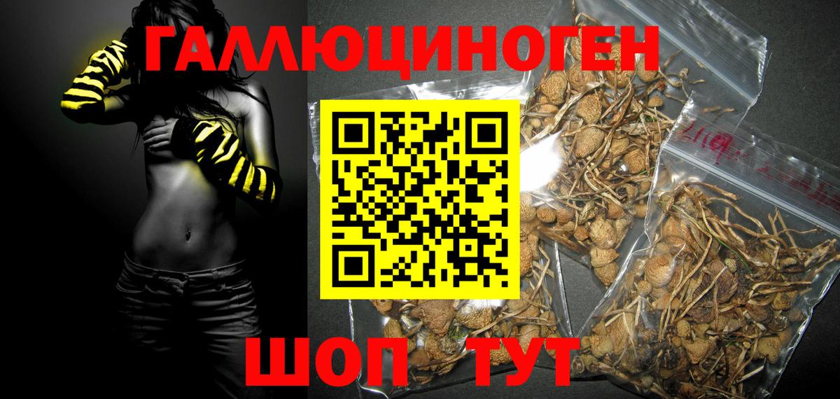 Россошь  Псилоцибиновые грибы MAGIC MUSHROOMS  Вход с VPN  Галлюциногенные грибы мухоморы 