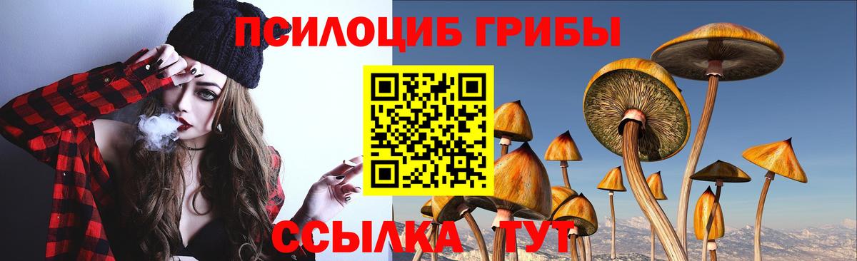 Псилоцибиновые грибы MAGIC MUSHROOMS Россошь
